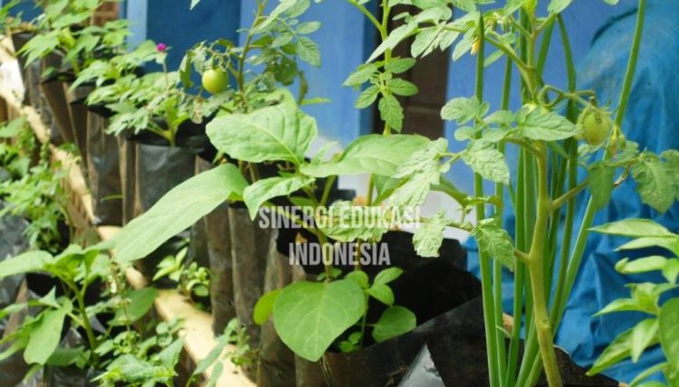 Menjaga Bumi dari Sekolah